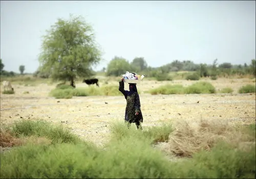تشدید و طولانی تر شدن خشکسالی های ایران
