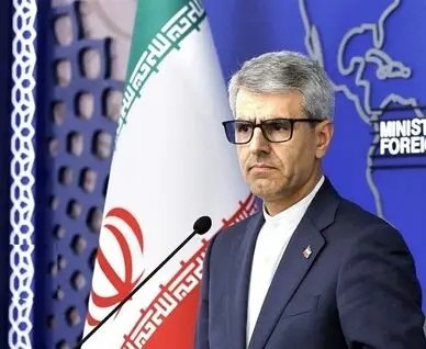 بقائی: ارجاع پرونده ایران به شورای امنیت مبنای حقوقی ندارد