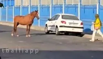 اتفاق عجیب و غریب مقابل کمپ تمرینی استقلال/ویدیو 