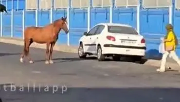 اتفاق عجیب و غریب مقابل کمپ تمرینی استقلال/ویدیو 