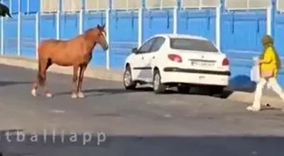 اتفاق عجیب و غریب مقابل کمپ تمرینی استقلال/ویدیو 