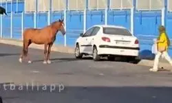 اتفاق عجیب و غریب مقابل کمپ تمرینی استقلال/ویدیو 