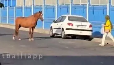 اتفاق عجیب و غریب مقابل کمپ تمرینی استقلال/ویدیو 