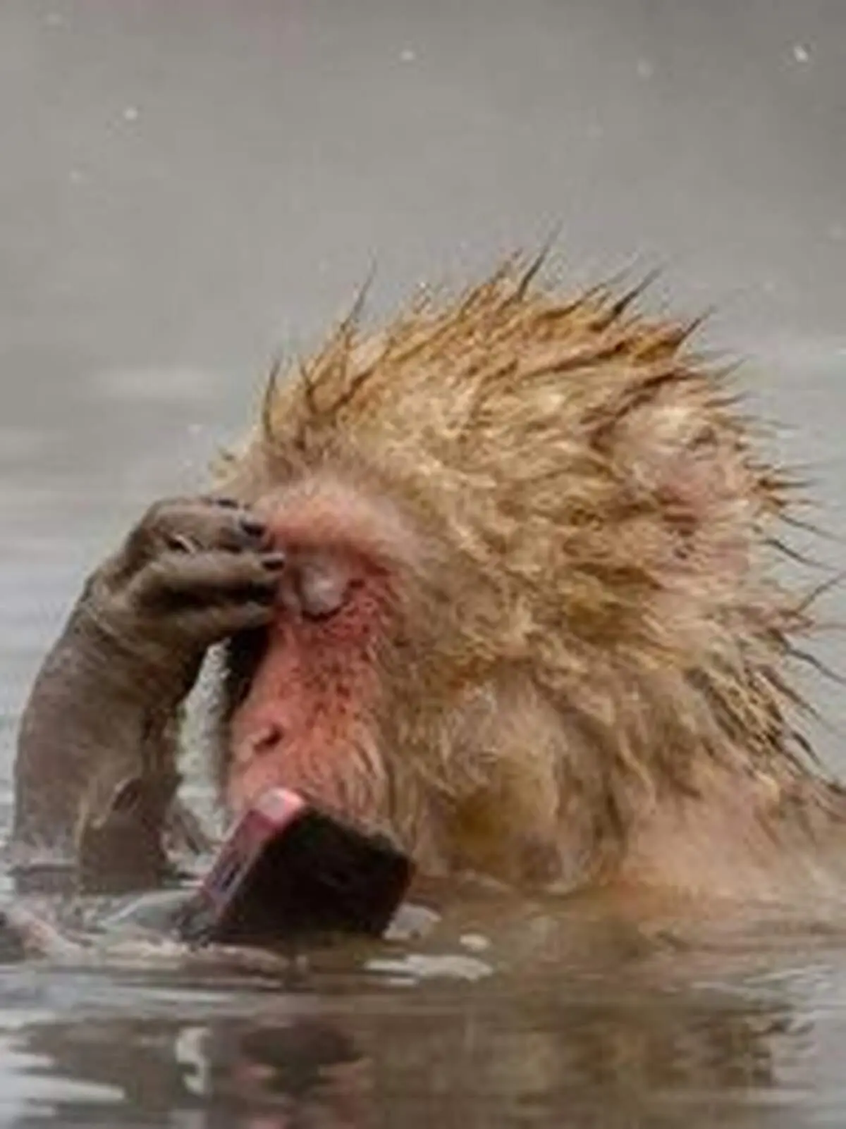شما آنقدرها هم باهوش نیستید!