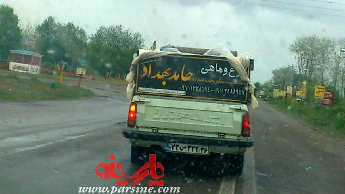 مرع و ماهی حامد بهداد!