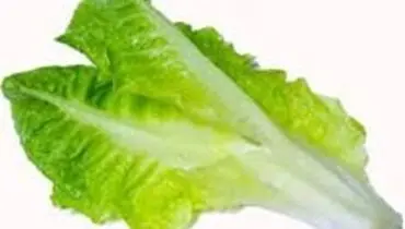 خواص دارویی کاهو