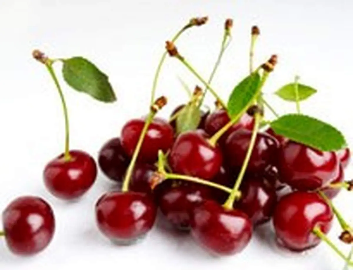 خواص دارویی آلبالو