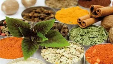 تکنیک‌های ساده برای تحریک خون سازی