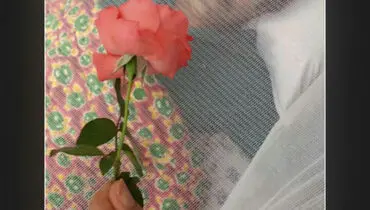 سکانسی جالب از پایتخت/عکس