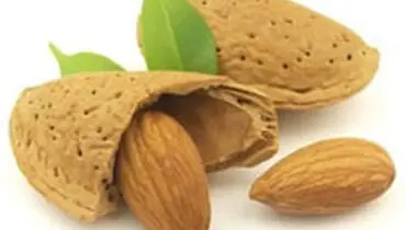 مغزدانه‌ها مانع مرگ زودرس می‌شوند