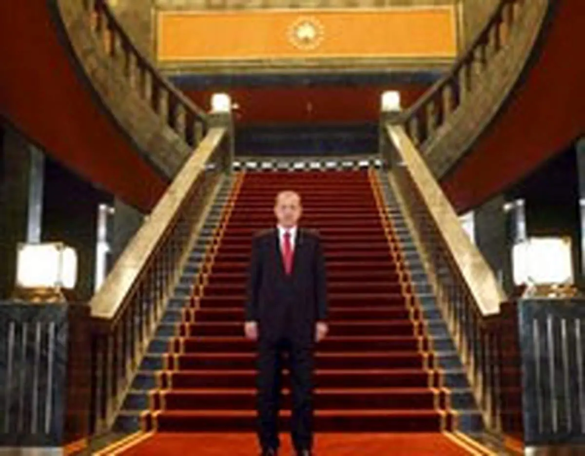 سوسکها، کاخ اردوغان را ساختند!