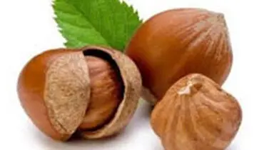 فندق، افسونگر عنصر جدید زیبایی