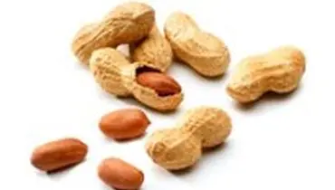 خواص بادام زمینی را بشناسید