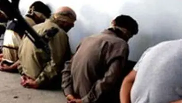 کشف 7 خودروی بمب گذاری شده در ورودی کربلا