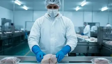 افشای پشت‌پرده گرانی مرغ؛ خرده‌فروشان متهم ردیف اول بازار