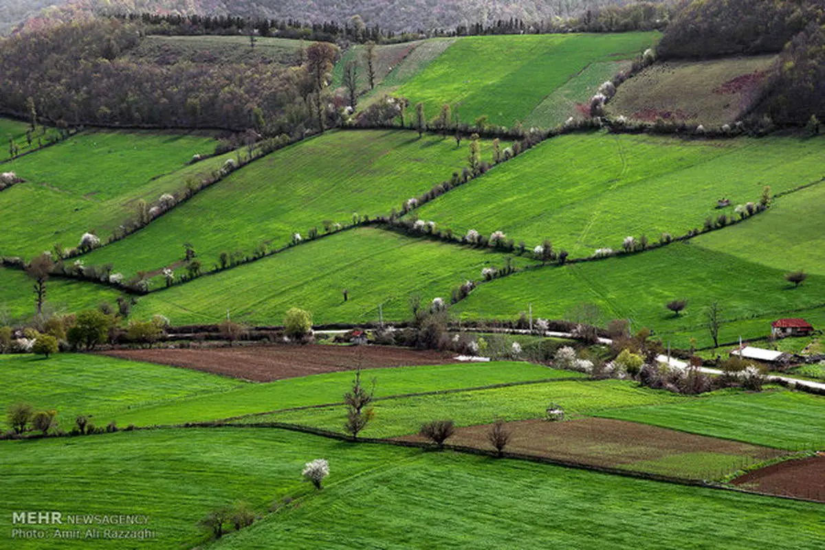 طبیعت فوق العاده زیبا مازندران