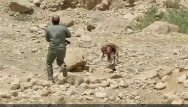 درگیری مسلحانه محیط بانان و شکارچی شرور +عکس