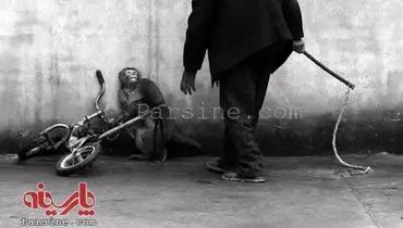 عکس: ترس میمون سیرک از مربی!