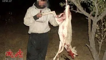 شکارچی بی رحم 11 ماده آهو بازداشت شد + عکس