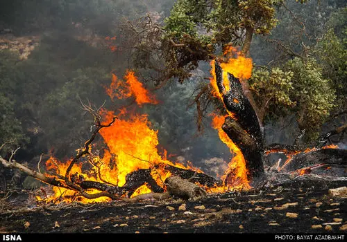 بسیج نیروهای مردمی برای اطفاء آتش سوزی طبیعت ایلام+فیلم