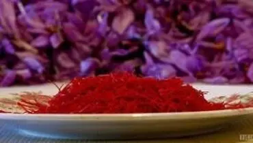 نابودی زعفران ایران با سیاست های اشتباه