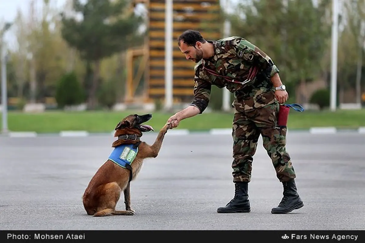 عکس: دست دادن پلیس با سگ