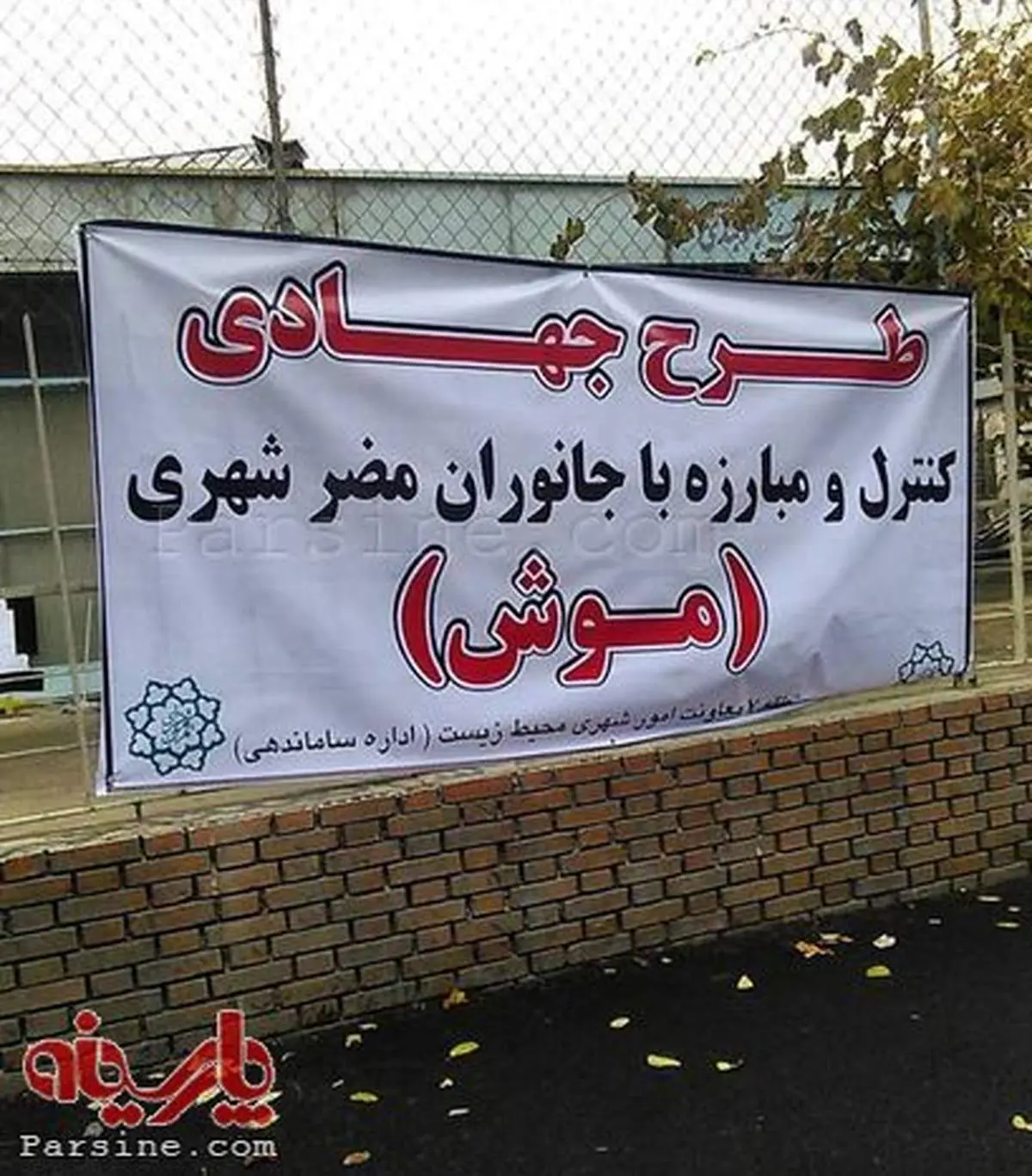 طرح جهادی مبارزه با موش!