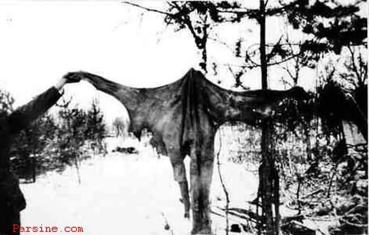 عکس:جنگ روانی عجیب فنلاندی ها با کندن پوست سربازان شوروی