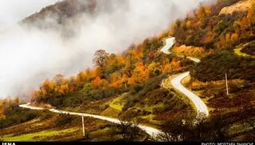 تصاویری از طبیعت چشم نواز پاییزی مازندران