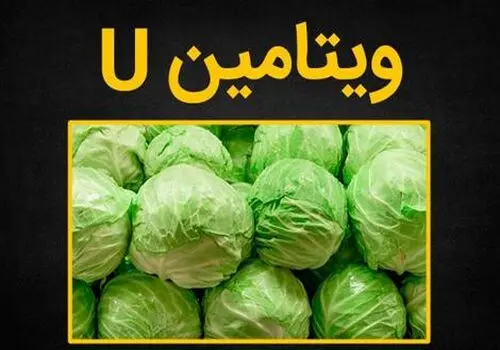طرز  تهیه بهترین دمنوش برای زخم معده 
