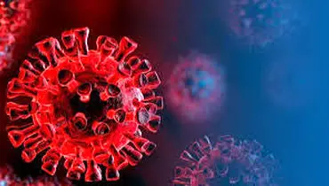 موج جدید آنفلوآنزا شدیدتر است؛ احتمال مرگ وجود دارد
