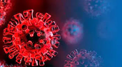 موج جدید آنفلوآنزا شدیدتر است؛ احتمال مرگ وجود دارد
