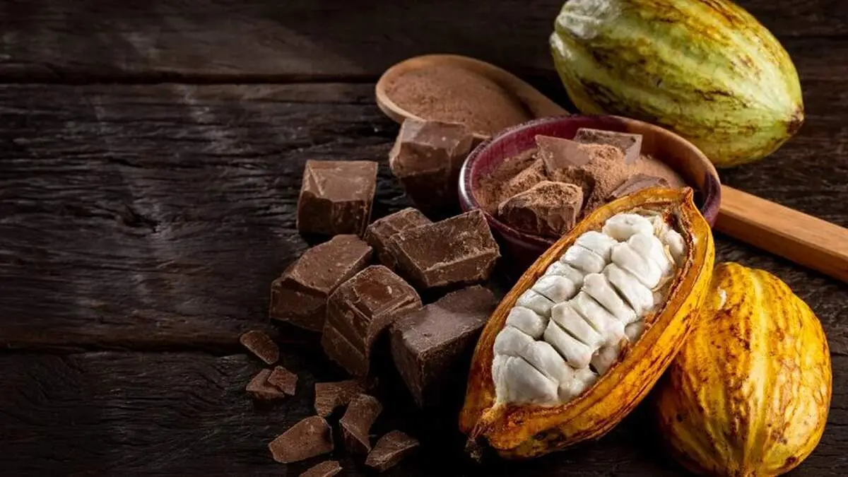  روزانه چقدر کاکائو بخوریم چاق نشویم؟