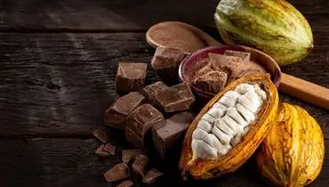  روزانه چقدر کاکائو بخوریم چاق نشویم؟