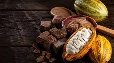  روزانه چقدر کاکائو بخوریم چاق نشویم؟