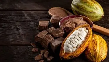  روزانه چقدر کاکائو بخوریم چاق نشویم؟