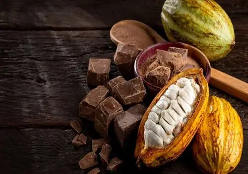  روزانه چقدر کاکائو بخوریم چاق نشویم؟