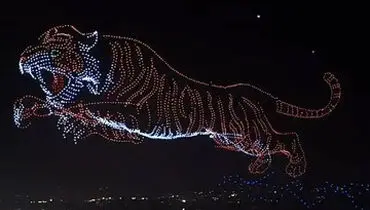 ۲۹۸۳ پهپاد، ببر عظیم را به تصویر کشیدند + فیلم