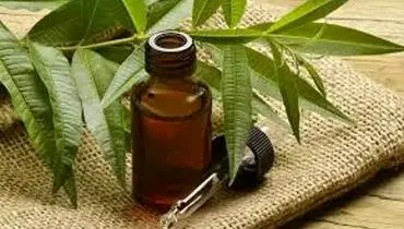 ۷ راز پنهان خواص روغن درخت چای برای پوست و جوانی چهره!
