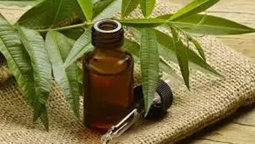 ۷ راز پنهان خواص روغن درخت چای برای پوست و جوانی چهره!
