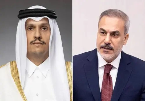قطر: درخواست رسمی برای واردات گوسفند ایرانی به بازارهای خود