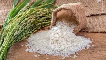 توزیع برنج با نرخ ۱۲۹ هزار تومان کلید خورد