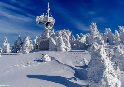 خوراکی هایی که باید در زمستان مصرف کنید