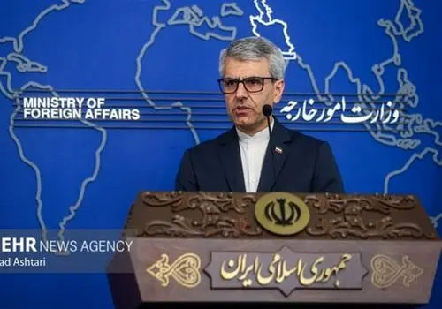 تأکید بقایی بر ضرورت کشورها برای جلوگیری از استفاده متجاوزان از قلمرو آنها

