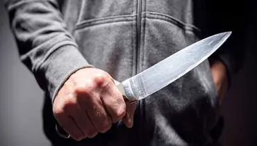 جنایت هولناک در پارک جنوب تهران؛ قاتل جسد را با پراید منتقل کرد