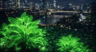 گیاهان عجیبی که در تاریکی شب نور تولید می کنند!