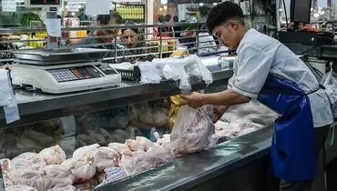 قیمت مرغ با گوشت قرمز باهم برابر شد؟
