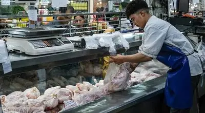 قیمت مرغ با گوشت قرمز باهم برابر شد؟