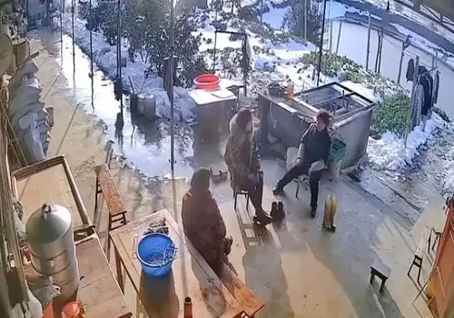 فرار جالب حلزون از دست گیاه گوشتخوار!+ فیلم