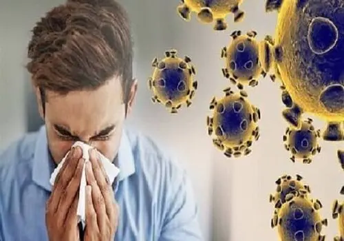 پاییز بدون بیماری؛ توصیه‌های طب سنتی برای حفظ سلامت